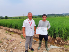400多万亩水稻种植户有了“定心丸”
